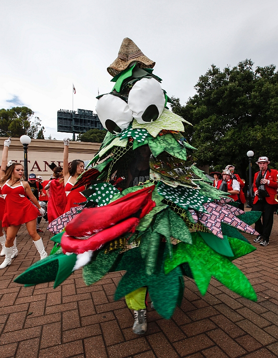 2013StanfordASU-006.JPG - Sept.21, 2013; Stanford, CA, USA; Stanford Cardinal band mascot "The Tree"  before game against the Arizona State Sun Devils at  Stanford Stadium. Stanford defeated Arizona State 42-28.